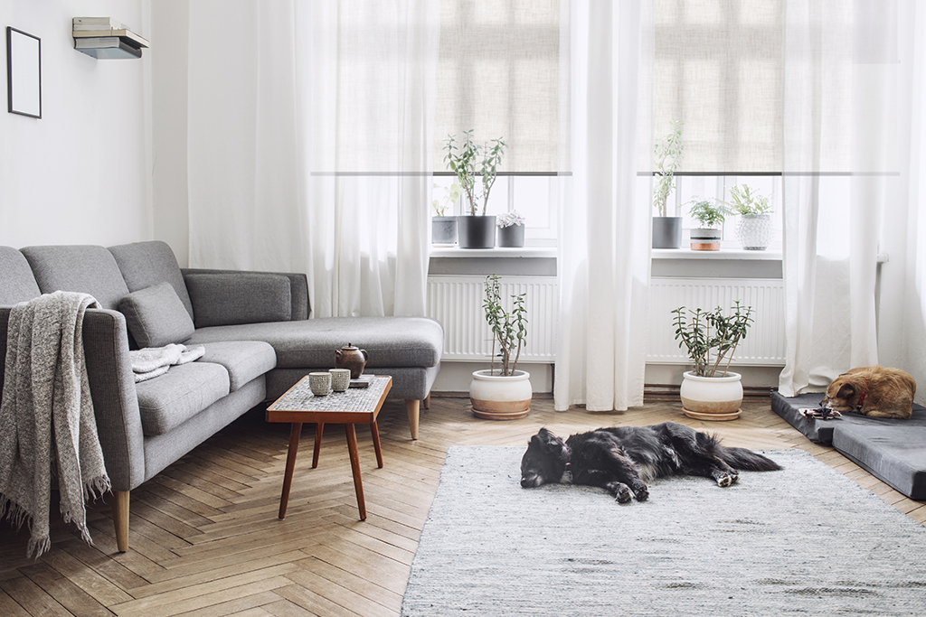 roller-blinds-curtains-lounge